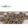 PLASTICHE 3F LAPILLO33 - Lapillus Volcanique 33 Litres