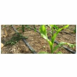 GLOBAL NETWORK 8mil Irrigation Goutte A Goutte De Bande A 20 Cm. Bobine 2600mts 7 GLOBAL NETWORK 8mil Irrigation Goutte A Goutte De Bande A 20 Cm. Bobine 2600mts -Promos Arrosage automatique Magasin 18724480 3