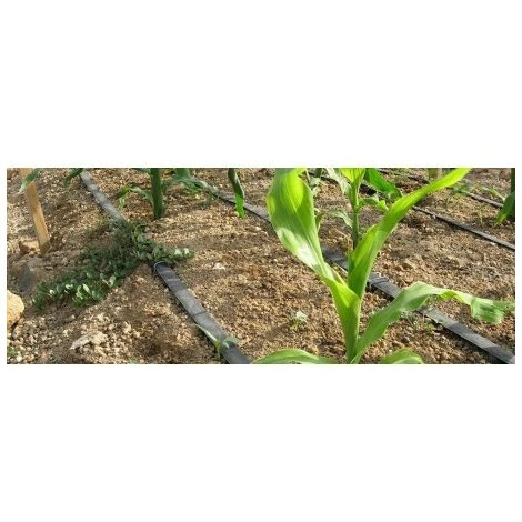 GLOBAL NETWORK 8mil Irrigation Goutte A Goutte De Bande A 20 Cm. Bobine 2600mts 3 GLOBAL NETWORK 8mil Irrigation Goutte A Goutte De Bande A 20 Cm. Bobine 2600mts – Image 3