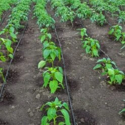 TERRE JARDIN Tuyau Goutte à Goutte - 300 M -Promos Arrosage automatique Magasin 23213725 3