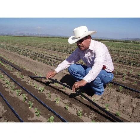 SUINGA Ruban D'arrosage Goutte à Goutte 16mm 3500 Mts. Jauge De Calibre 6 Mil. Goutteurs 1,5 L/h Tous Les 30 Cm 3 SUINGA Ruban D'arrosage Goutte à Goutte 16mm 3500 Mts. Jauge De Calibre 6 Mil. Goutteurs 1,5 L/h Tous Les 30 Cm – Image 3