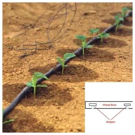 SUINGA Ruban D'arrosage Goutte à Goutte 16mm 3500 Mts. Jauge De Calibre 6 Mil. Goutteurs 1,5 L/h Tous Les 30 Cm 4 SUINGA Ruban D'arrosage Goutte à Goutte 16mm 3500 Mts. Jauge De Calibre 6 Mil. Goutteurs 1,5 L/h Tous Les 30 Cm – Image 4