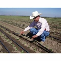 SUINGA 100 Unités. Ruban D'arrosage Joint Droit 16mm. 5 SUINGA 100 Unités. Ruban D'arrosage Joint Droit 16mm. -Promos Arrosage automatique Magasin 27213307 3