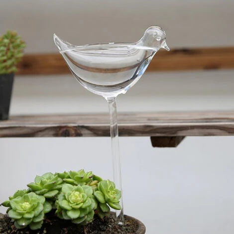 ASUPERMALL Plante Abreuvoir Oiseaux Arrosage Auto Ampoule En Verre Souffle A La Bouche Claire Globe Pour Irrigation Des Plantes Les Plantes D'Interieur En Pot 2 ASUPERMALL Plante Abreuvoir Oiseaux Arrosage Auto Ampoule En Verre Souffle A La Bouche Claire Globe Pour Irrigation Des Plantes Les Plantes D'Interieur En Pot – Image 2