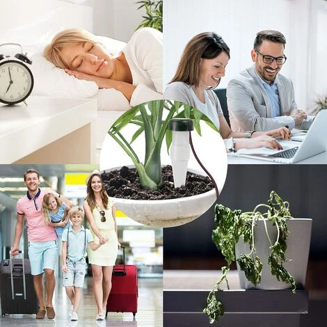 LangRay Kit D'irrigation Goutte à Goutte Automatique Pour Plantes Filaire, Kit D'irrigation Goutte à Goutte En Céramique Automatique Pour Plantes (10) 2 LangRay Kit D'irrigation Goutte à Goutte Automatique Pour Plantes Filaire, Kit D'irrigation Goutte à Goutte En Céramique Automatique Pour Plantes (10) – Image 2