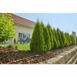 GARDENA Kit D'arrosage Goutte-à-goutte Pour Rangées De Plantes M (13011-20). -Promos Arrosage automatique Magasin 33511583 4