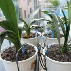 BRIDAY Goutteur De Jardin,16 PCS Flèches Courbées Drippers + 16PCS Tuyaux 3 / 5mm + 4PCS Régulateurs Jardin Des Plantes Système D'irrigation Pour Légumes Fleurs Arbres Fruitiers En Pot -Promos Arrosage automatique Magasin 35852277 4