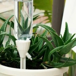 TRIOMPHE 6pcs Auto-arrosage Spike Automatique Goutte à Goutte Automatiser Arrosage Automatique Arrosage De Plante DIY DIY Goutte à Goutte Irrigation Couleur Aléatoire -Promos Arrosage automatique Magasin 37670099 3