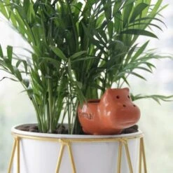 ABCRITAL Pointes D'Arrosage Des Plantes Pointes D'Arrosage Automatique Pointe D'Arrosage En Terre Cuite Pour Plantes De Petite Et Moyenne Taille, Piquets D'Arrosage Automatique Pour Plantes D'Intérieur Arrosage Automatique Arrosez Vos Plantes D'Intérieur Et D'Exté 9 ABCRITAL Pointes D'Arrosage Des Plantes Pointes D'Arrosage Automatique Pointe D'Arrosage En Terre Cuite Pour Plantes De Petite Et Moyenne Taille, Piquets D'Arrosage Automatique Pour Plantes D'Intérieur Arrosage Automatique Arrosez Vos Plantes D'Intérieur Et D'Exté -Promos Arrosage automatique Magasin 40002072 5