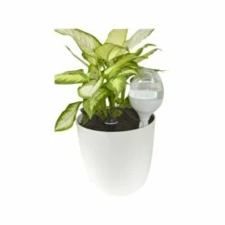 Réserve Décorative 70cl Iriso, Couleur Blanc - Blanc -Promos Arrosage automatique Magasin 4255178 3