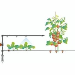 Réducteur En T 13 Mm (1/2") - 4,6 Mm (3/16") : Raccordement En T Des Buses De Pulvérisation Dans La Conduite D'Installation Du Système Micro-Drip Fontainebleau 8 Réducteur En T 13 Mm (1/2") - 4,6 Mm (3/16") : Raccordement En T Des Buses De Pulvérisation Dans La Conduite D'Installation Du Système Micro-Drip Fontainebleau -Promos Arrosage automatique Magasin 47421331 4