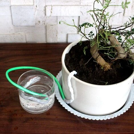 D'arrosage Automatique Mèche Cordon Pour Pot, Cordon D'arrosage Automatique Cordon D'arrosage Automatique Corde De Corde À Goutte Automatique Irrigation De Goutte À Goutte D'eau De Goutte D'artisanat 5Pcs,Irisfr 5 D'arrosage Automatique Mèche Cordon Pour Pot, Cordon D'arrosage Automatique Cordon D'arrosage Automatique Corde De Corde À Goutte Automatique Irrigation De Goutte À Goutte D'eau De Goutte D'artisanat 5Pcs,Irisfr – Image 5