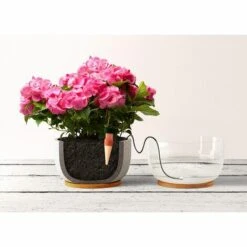 MODOU Appareil D'Auto-Arrosage -Promos Arrosage automatique Magasin 52528086 3