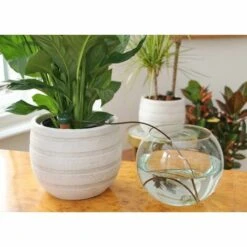 MODOU Appareil D'Auto-Arrosage -Promos Arrosage automatique Magasin 52528086 4