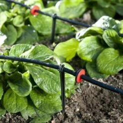 TERRE JARDIN Kit D'arrosage Gouttes A Gouttes Réglable -Promos Arrosage automatique Magasin 528956 5