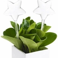 2PCS Triomphe Plastique Dispositifs D'Arrosage Automatique De Plantes，Automatique Bulbes D'Arrosage Goutte à Goutte,Kits D'irrigation Matériel，Bouteille Arrosage Auto-Irrigant -Promos Arrosage automatique Magasin 54384215 3