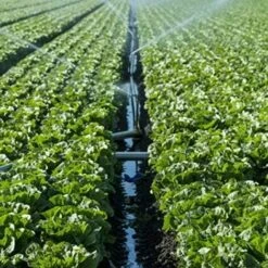 MONLY Filtre En Maille, Filtre En Acier Inoxydable 3/4" Résistant Aux UV, Pompe De Piscine Pour Réservoir De Stockage Résistant à La Rouille -Promos Arrosage automatique Magasin 56075046 5