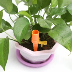 ZHUOXUAN Kit Irrigation Goutte à Goutte, Arrosage Goutte à Goutte, Self Watering Plant, DIY Automatique Plantes Irrigation, Le Jardin Plantes Système D’Irrigation, Pour Jardin Intérieur Et Extérieur-6PC 8 ZHUOXUAN Kit Irrigation Goutte à Goutte, Arrosage Goutte à Goutte, Self Watering Plant, DIY Automatique Plantes Irrigation, Le Jardin Plantes Système D’Irrigation, Pour Jardin Intérieur Et Extérieur-6PC -Promos Arrosage automatique Magasin 56084361 4