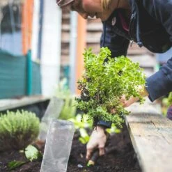 Kartokner Cône En Argile, Lot De 4 Accessoire D’arrosage, Bouteilles 17 X 5,5 X 5 Cm, Terre Cuite, Terracotta -Promos Arrosage automatique Magasin 57271539 5