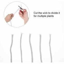 TRIOMPHE 30 Pieds 4mm Diamètre Cordon De Mèche Capillaire à Arrosage Automatique, Mèche Hydroponique Bricolage, Pot De Jardinière à Arrosage Automatique, Dispositif De Système D'eau Automatique,T-Audace -Promos Arrosage automatique Magasin 58205833 3