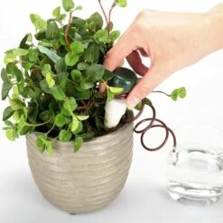 PERLE RARE 4X Cône D'arrosage, Cône D'argile Avec Tuyau Comme Distributeur D'eau Goutte à Goutte En Vacances, Système D'arrosage Automatique (4 Pièces - Marron) -Promos Arrosage automatique Magasin 59967477 5