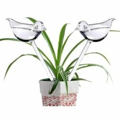 DECKON Lot De 6 Globes D'arrosage En Verre Avec Pointes Auto-arrosage En Forme D'oiseau Pour Plantes, Intérieur Et Extérieur 6 DECKON Lot De 6 Globes D'arrosage En Verre Avec Pointes Auto-arrosage En Forme D'oiseau Pour Plantes, Intérieur Et Extérieur -Promos Arrosage automatique Magasin 60893515 3