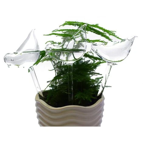 DECKON Lot De 6 Globes D'arrosage En Verre Avec Pointes Auto-arrosage En Forme D'oiseau Pour Plantes, Intérieur Et Extérieur 4 DECKON Lot De 6 Globes D'arrosage En Verre Avec Pointes Auto-arrosage En Forme D'oiseau Pour Plantes, Intérieur Et Extérieur – Image 4
