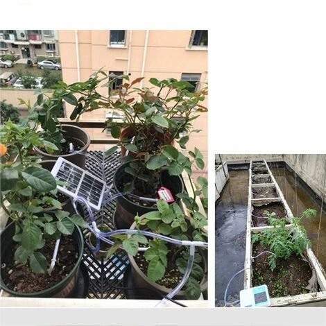 DECKON Système D'irrigation à Goutte à énergie Solaire Set Simple Pompe Double Dispositif D'arrosage Automatique Minuteur Kit D'auto-arrosage De Jardin Pour 4 DECKON Système D'irrigation à Goutte à énergie Solaire Set Simple Pompe Double Dispositif D'arrosage Automatique Minuteur Kit D'auto-arrosage De Jardin Pour – Image 4