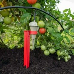 ZOLGINAH Kit Réserve 50 Goutteurs Avec Supports + 1 Réserve 12 L Offerte