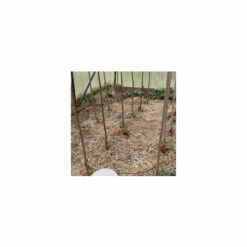 ZOLGINAH Kit Réserve 50 Goutteurs Avec Supports + 1 Réserve 12 L Offerte -Promos Arrosage automatique Magasin 61272938 5