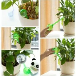 HAZEL Boules D'arrosage Automatique Matériel D'Arrosage Automatique En PVC Pour Plantes Plante Arrosage Ampoules Boules D'irrigation Pour Plantes De Jardin, Bonsa?, Plantes En Pot 12 Pièces 9 HAZEL Boules D'arrosage Automatique Matériel D'Arrosage Automatique En PVC Pour Plantes Plante Arrosage Ampoules Boules D'irrigation Pour Plantes De Jardin, Bonsa?, Plantes En Pot 12 Pièces -Promos Arrosage automatique Magasin 64197774 5