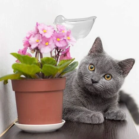 SINCèREETALI 4 Pièces Grande Globes D'Arrosage Automatique, Boule D'Arrosage, Bulbes D'Arrosage Goutte à Goutte, Arrosage Plante Vacances Pour Plantes 2 SINCèREETALI 4 Pièces Grande Globes D'Arrosage Automatique, Boule D'Arrosage, Bulbes D'Arrosage Goutte à Goutte, Arrosage Plante Vacances Pour Plantes – Image 2