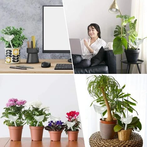 SINCèREETALI 4 Pièces Grande Globes D'Arrosage Automatique, Boule D'Arrosage, Bulbes D'Arrosage Goutte à Goutte, Arrosage Plante Vacances Pour Plantes 3 SINCèREETALI 4 Pièces Grande Globes D'Arrosage Automatique, Boule D'Arrosage, Bulbes D'Arrosage Goutte à Goutte, Arrosage Plante Vacances Pour Plantes – Image 3