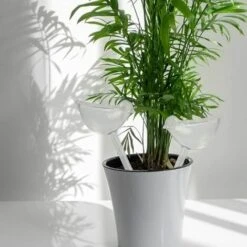 SINCèREETALI 4 Pièces Grande Globes D'Arrosage Automatique, Boule D'Arrosage, Bulbes D'Arrosage Goutte à Goutte, Arrosage Plante Vacances Pour Plantes 8 SINCèREETALI 4 Pièces Grande Globes D'Arrosage Automatique, Boule D'Arrosage, Bulbes D'Arrosage Goutte à Goutte, Arrosage Plante Vacances Pour Plantes -Promos Arrosage automatique Magasin 64242829 4