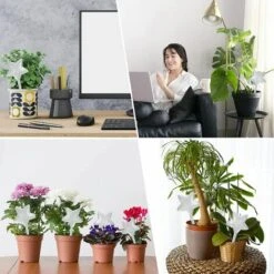 LLOVE 4 Pièces Grande Globes D'Arrosage Automatique, Boule D'Arrosage Verre, Bulbes D'Arrosage Goutte à Goutte, Arrosage Plante Vacances Pour Plantes 7 LLOVE 4 Pièces Grande Globes D'Arrosage Automatique, Boule D'Arrosage Verre, Bulbes D'Arrosage Goutte à Goutte, Arrosage Plante Vacances Pour Plantes -Promos Arrosage automatique Magasin 64870866 3