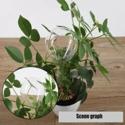 LLOVE Arrosage Automatique Bulbe Fleur Goutte à Goutte Dispositif Boule D'Arrosage Boule D'Arrosage Automatique Pour Plantes Intérieures Et Extérieures PVC Transparent 6 Pièces 9 LLOVE Arrosage Automatique Bulbe Fleur Goutte à Goutte Dispositif Boule D'Arrosage Boule D'Arrosage Automatique Pour Plantes Intérieures Et Extérieures PVC Transparent 6 Pièces -Promos Arrosage automatique Magasin 64870882 5