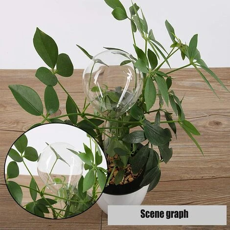 LLOVE Arrosage Automatique Bulbe Fleur Goutte à Goutte Dispositif Boule D'Arrosage Boule D'Arrosage Automatique Pour Plantes Intérieures Et Extérieures PVC Transparent 6 Pièces 5 LLOVE Arrosage Automatique Bulbe Fleur Goutte à Goutte Dispositif Boule D'Arrosage Boule D'Arrosage Automatique Pour Plantes Intérieures Et Extérieures PVC Transparent 6 Pièces – Image 5