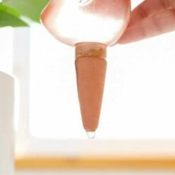 LLOVE 2 Pièces Auto-Arrosage Globes,Dispositifs D'Arrosage De D'Oiseau,D'arrosage Boules D'arrosage Automatique Pour Plantes D'intérieur Et D'extérieur Transparent,Fleurs Outil D'irrigation -Promos Arrosage automatique Magasin 64870936 4