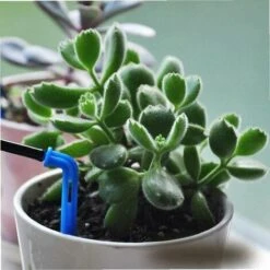 OSQI Kit D'irrigation Goutte à Goutte Arrosage Des Plantes En Pot Système Automatique Flèche Tubes Accessoires 20 M Pour Le Jardinage -Promos Arrosage automatique Magasin 65504275 4