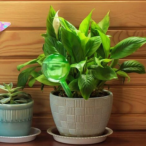 MONLY 3 Pièces Globes D'arrosage, Automatique Bulbes D'Arrosage Goutte à Goutte, Kits D'irrigation Matériel D'arrosage Automatique Pour Plantes,verte,Fonepro 5 MONLY 3 Pièces Globes D'arrosage, Automatique Bulbes D'Arrosage Goutte à Goutte, Kits D'irrigation Matériel D'arrosage Automatique Pour Plantes,verte,Fonepro – Image 5